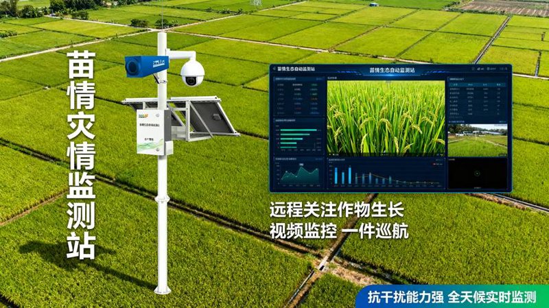 农业数字化：新时代智慧农业的力量
